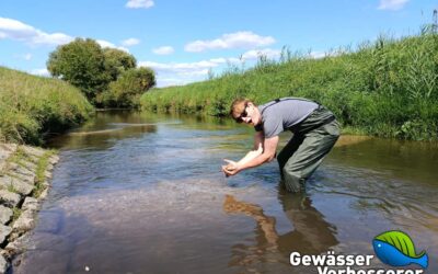 Der ASV Groß-Bieberau e. V. ist Gewässerverbesserer im November 2025